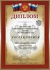 2013-2014 Михайлов Никита 8л (РО химия)